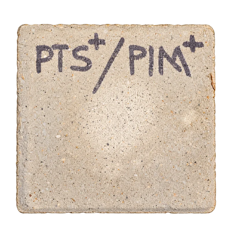 Concrete sample with the handwritten label PTS+ / PIM+