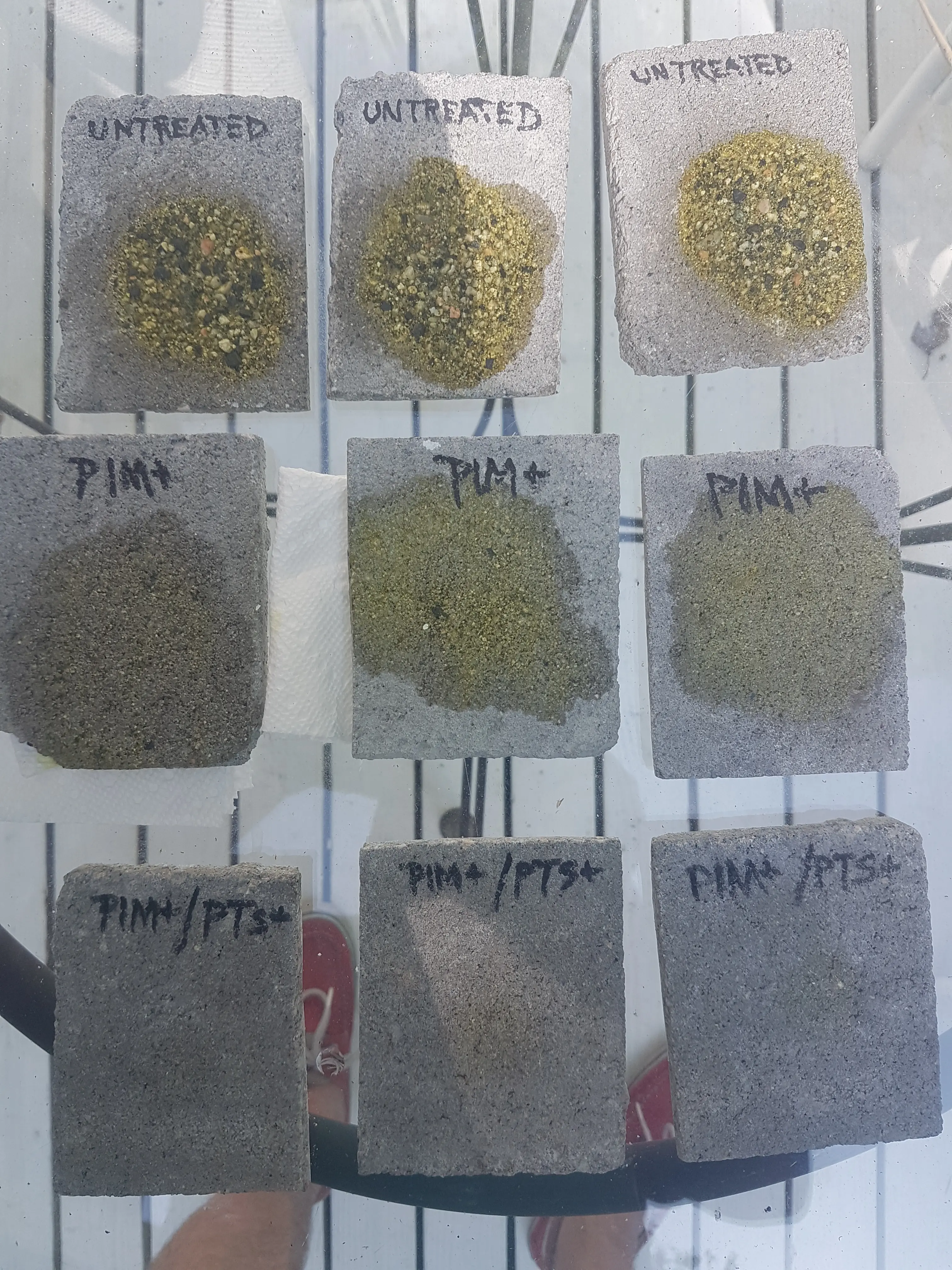 PIM and PTS Comparison