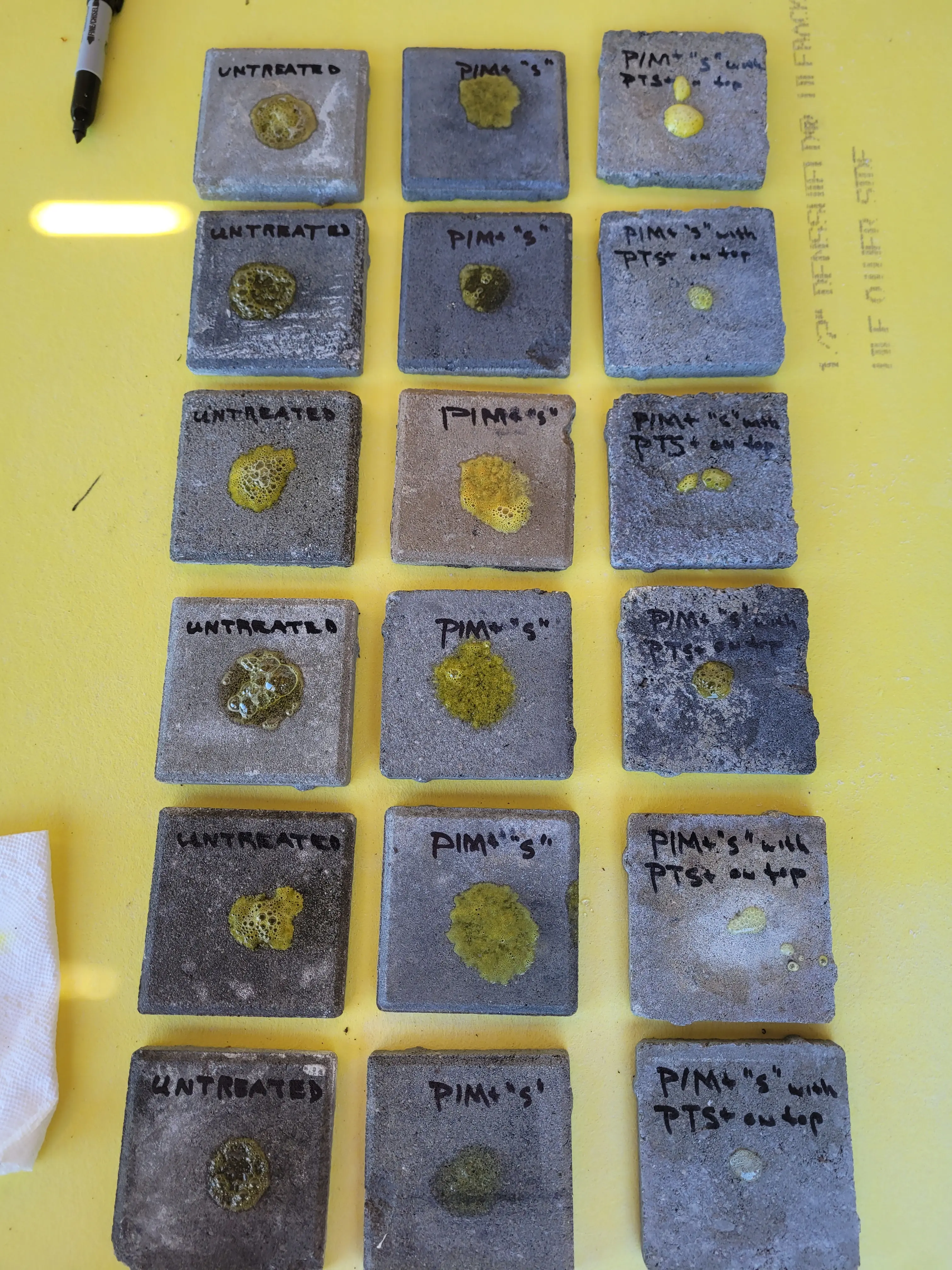 Side by Side Comparison of Samples